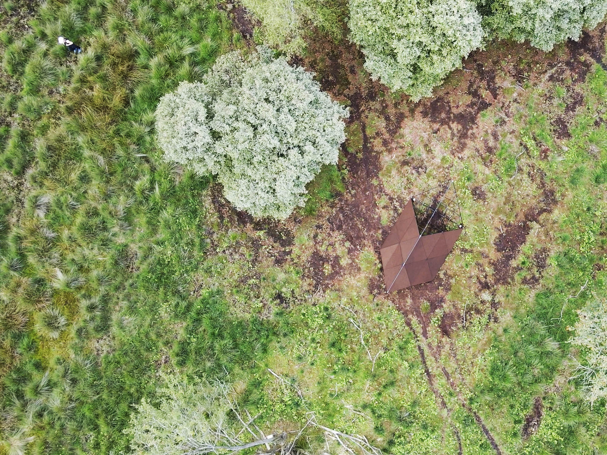INTO-NATURE